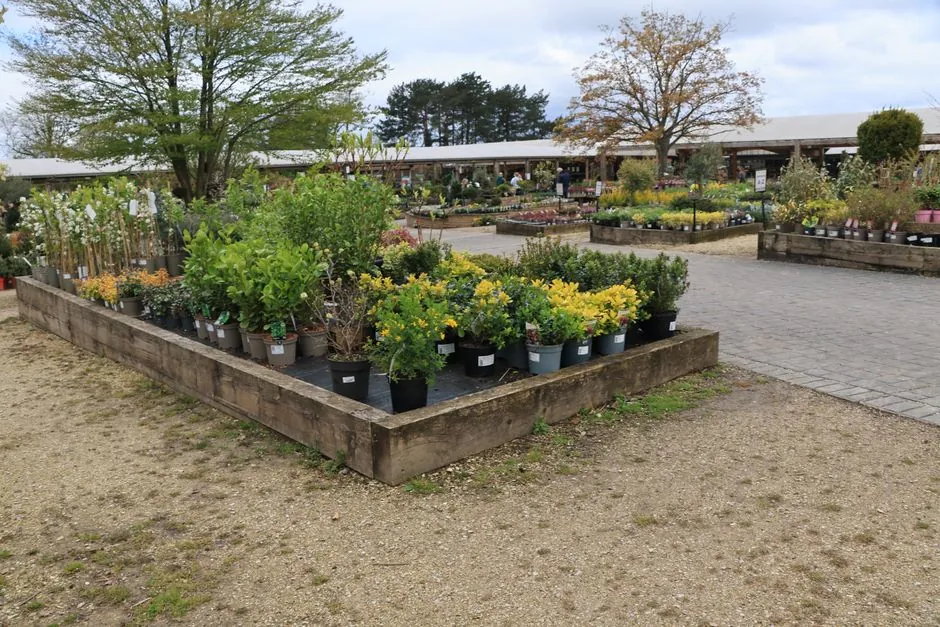 Jardin amenage par Top Service Paysager